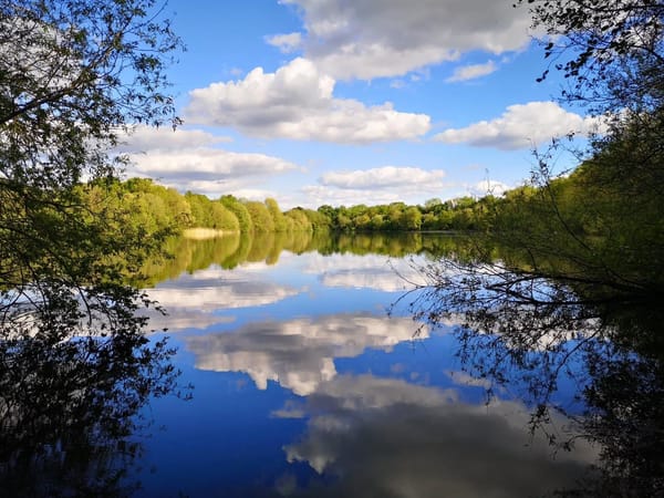 Dinton Pastures
