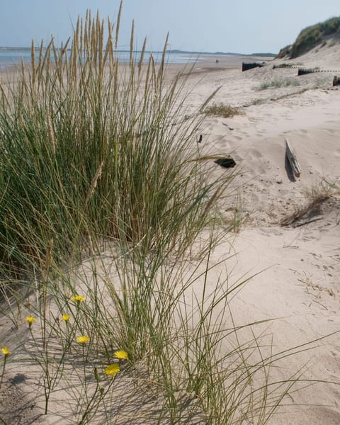 Best Beaches Near Bracknell